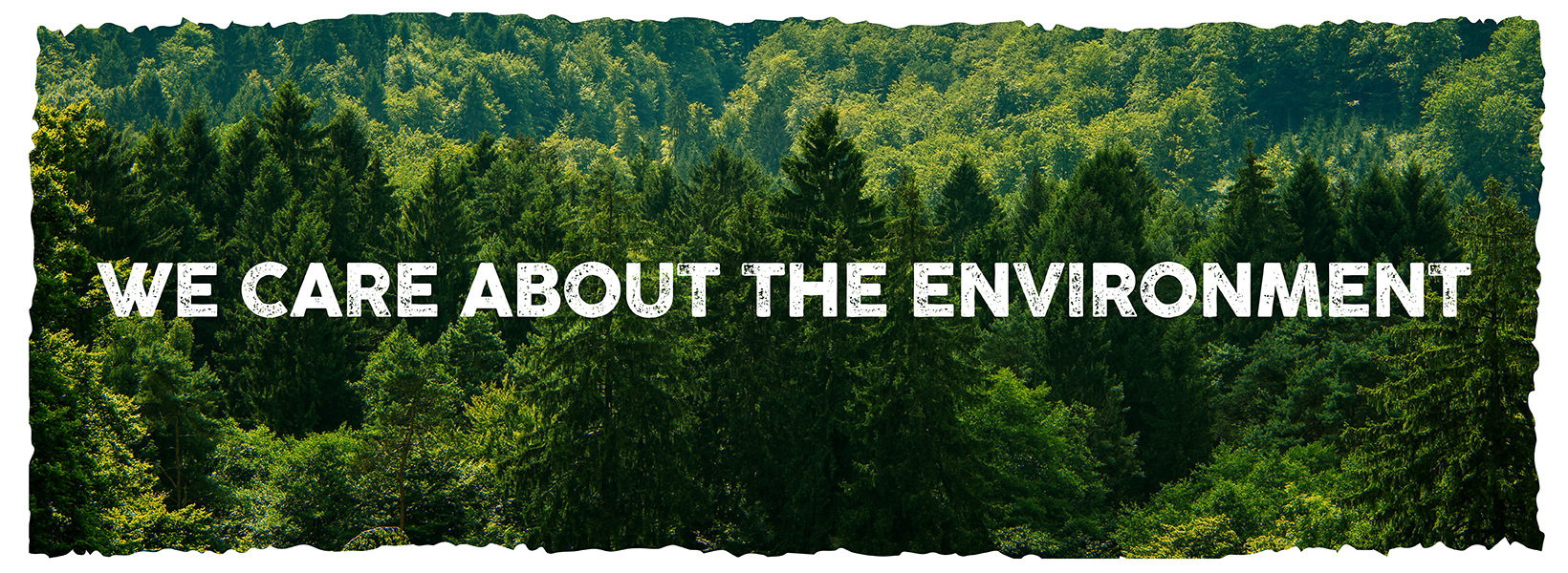 The banner shows the tops of a coniferous forest and the words ‘We care about the environment’