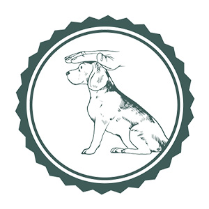 An icon on which a drawn dog is stroked by a hand